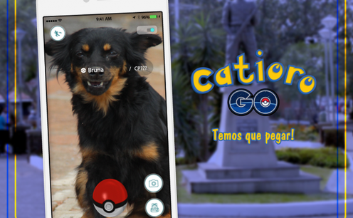 Catioro Go: Nova campanha convida pessoas a "capturar" cães abandonados