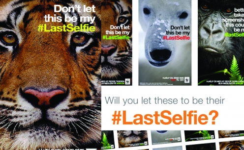 Selfies da WWF alertam para a extinção de animais