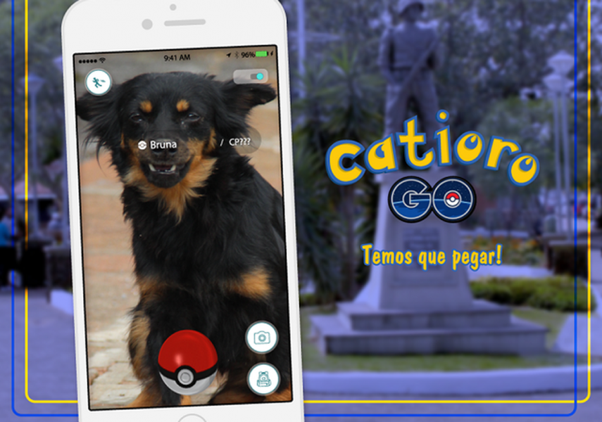 Catioro Go: Nova campanha convida pessoas a "capturar" cães abandonados